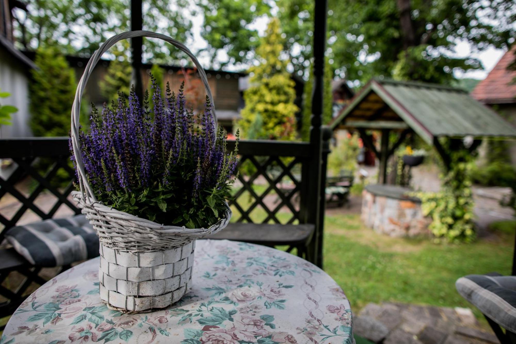 Mlynarzowy Dworek Gdynia Luaran gambar