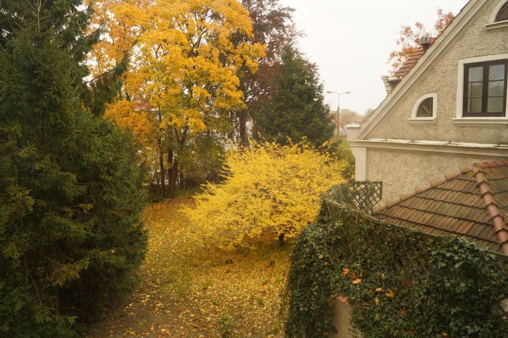 Mlynarzowy Dworek Gdynia Luaran gambar
